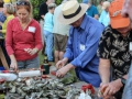 ARK SHUCKING ARK SHUCKING